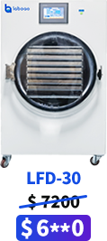 LFD-30 small freeze dryer