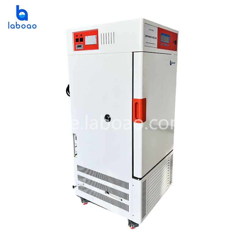 Ausgeglichene Kammer mit konstanter Temperatur und Luftfeuchtigkeit