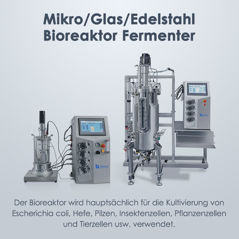 Bioreaktor Fermenter