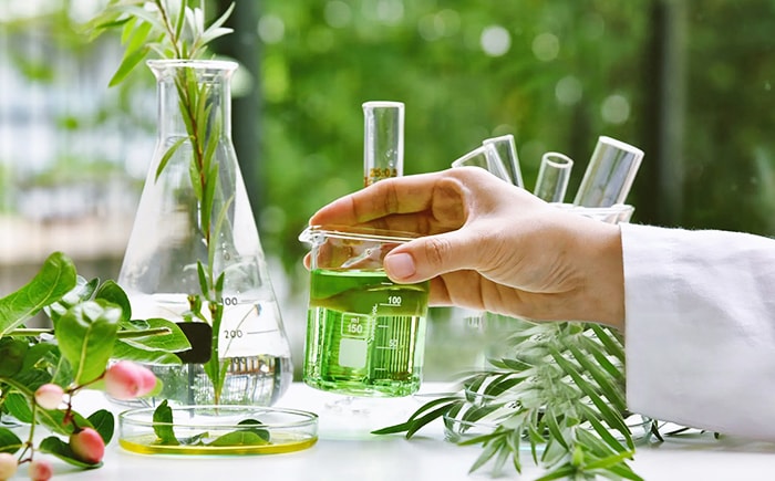Extraktion Und Reinigung Von Naturprodukten Und Pflanzlichen Inhaltsstoffen
