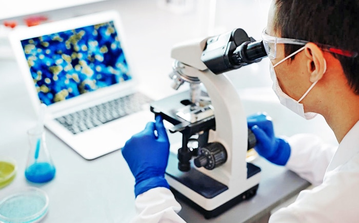 Pharmazeutische Qualitätskontrolle & Forschung & Entwicklung